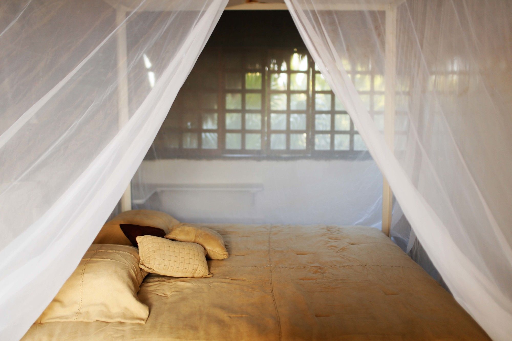 Apartament Casa Selva De Luz Tulum Zewnętrze zdjęcie
